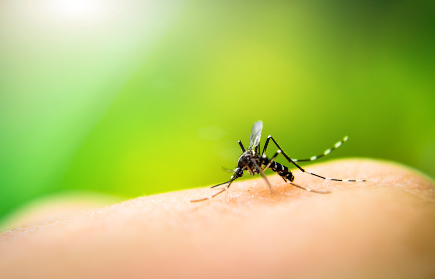 Watch Out for West Nile Virus