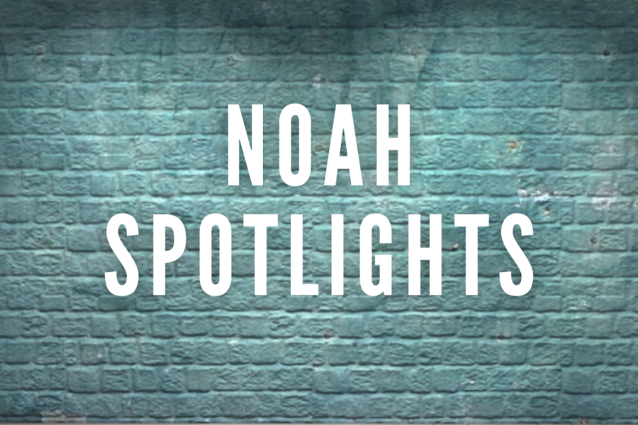 November NOAH Spotlights